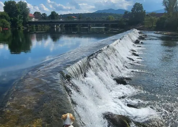 Soba Kolovrat